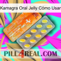 Kamagra Oral Jelly Cómo Usar new05